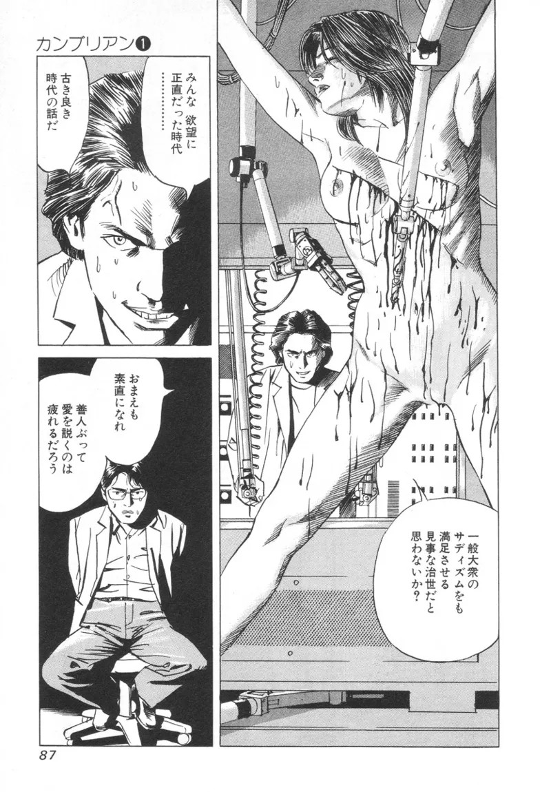 Page 87