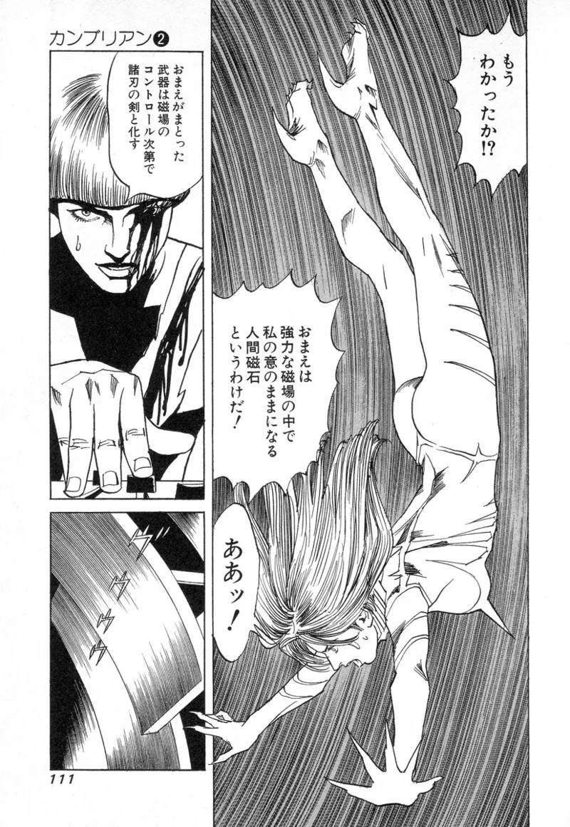 Page 112
