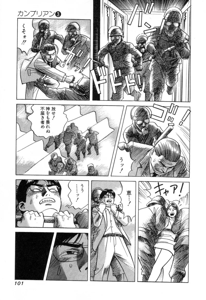 Page 101
