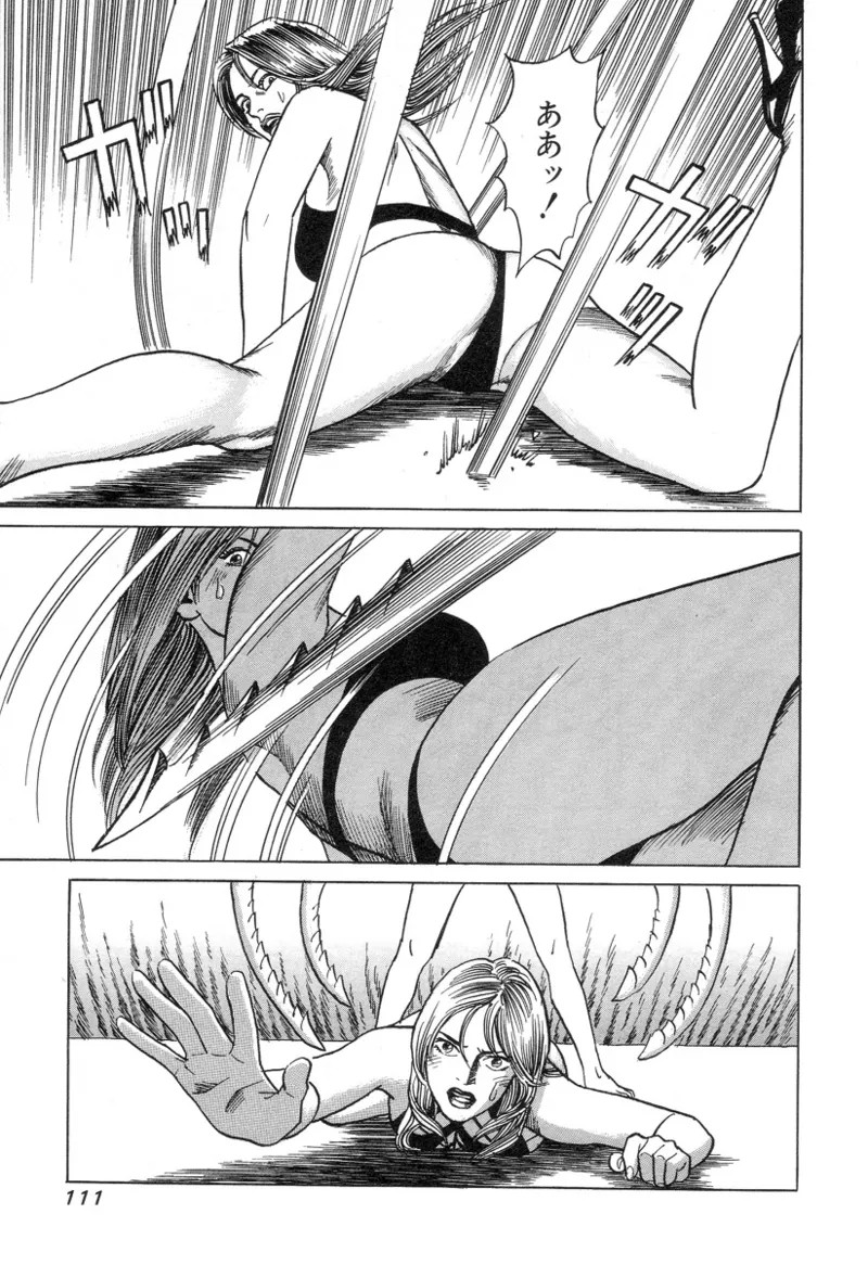 Page 111