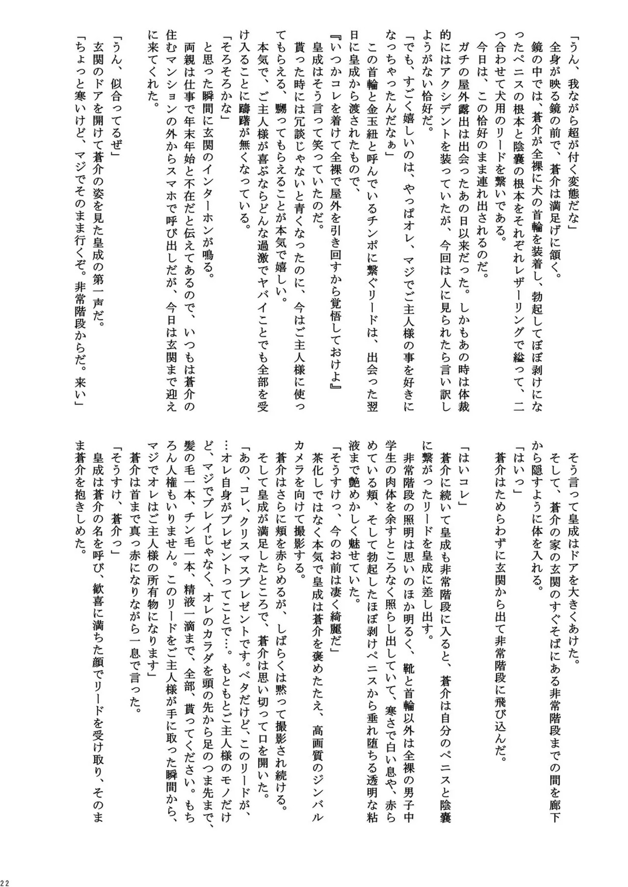 Page 22