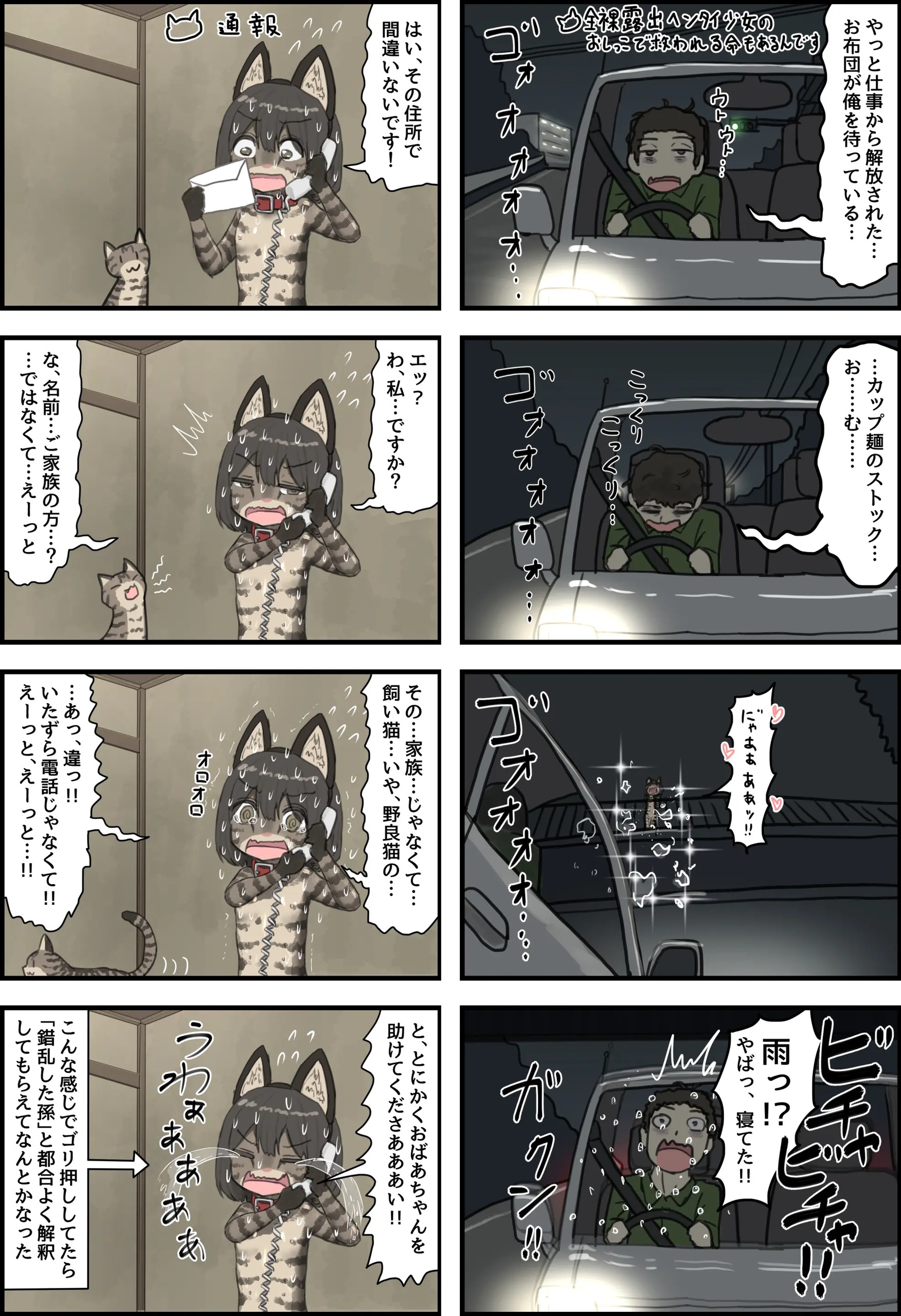全裸に猫のボディペイントをされて夜の町を露出徘徊するハメになるお話