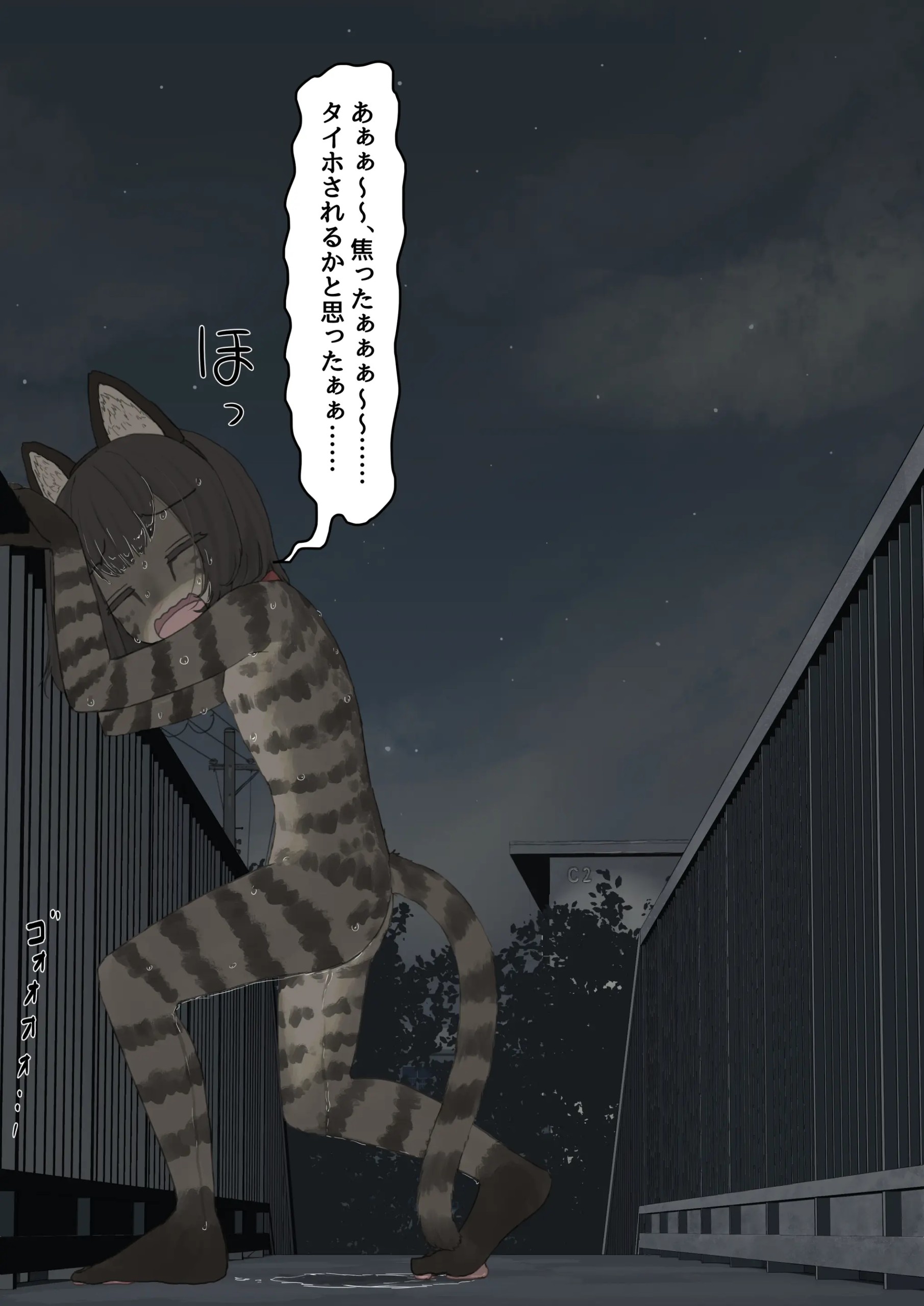 Page 41