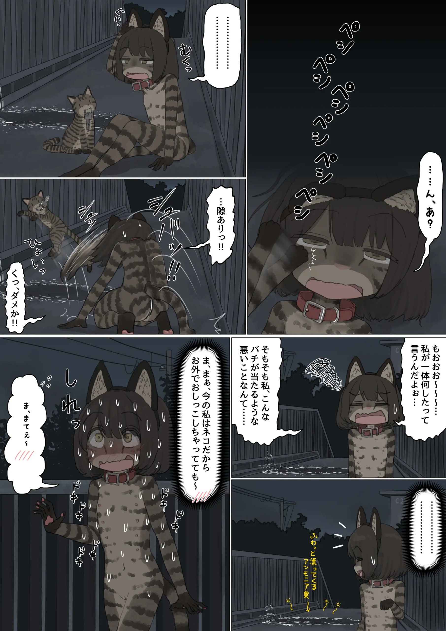 Page 51