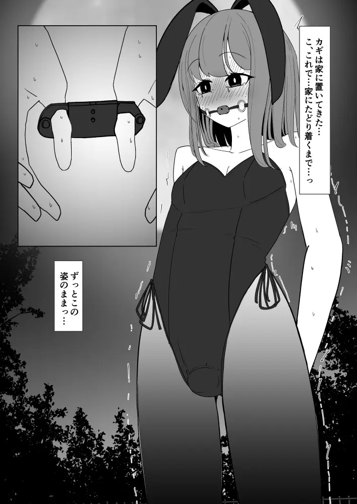 Page 485