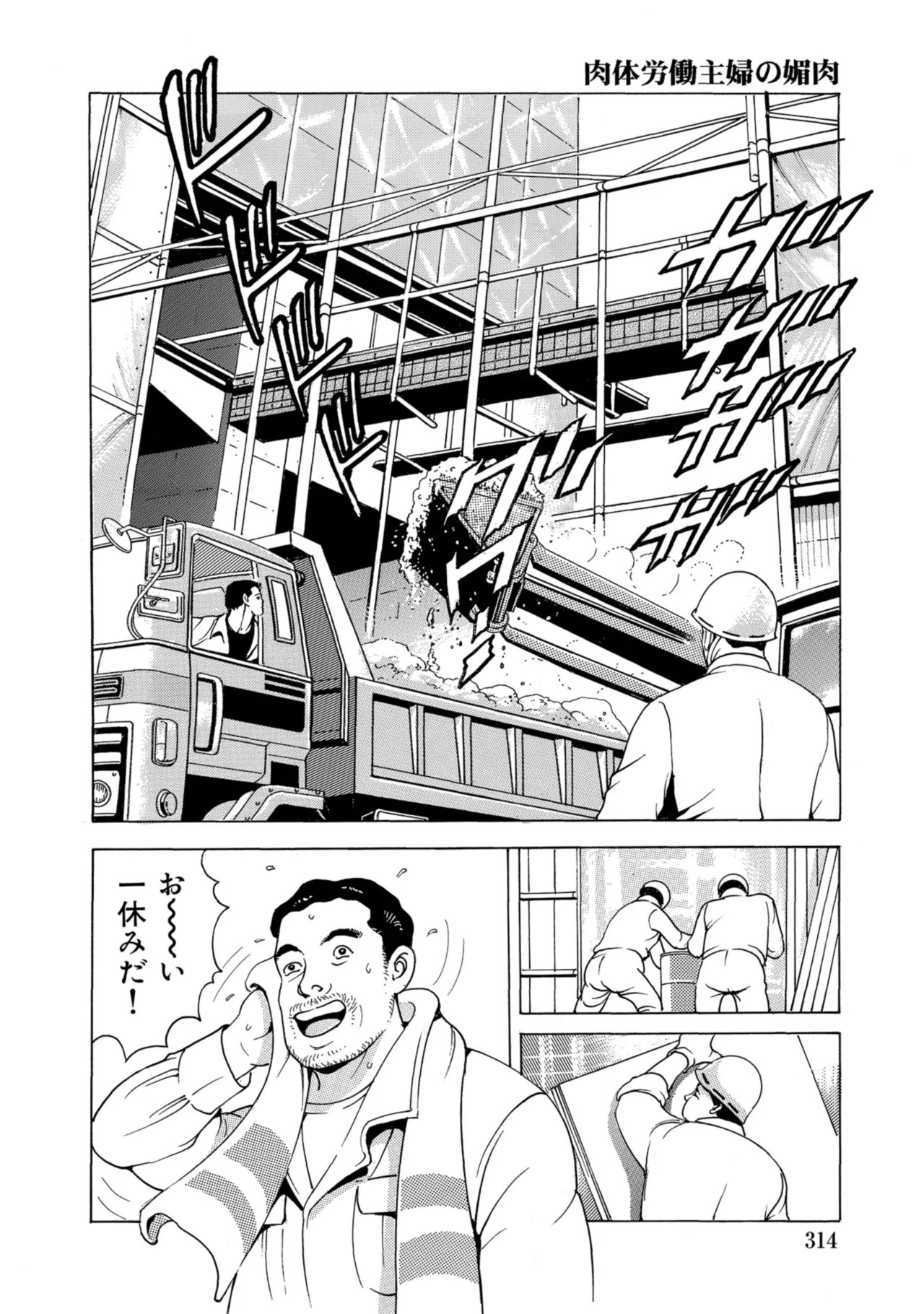 Page 313
