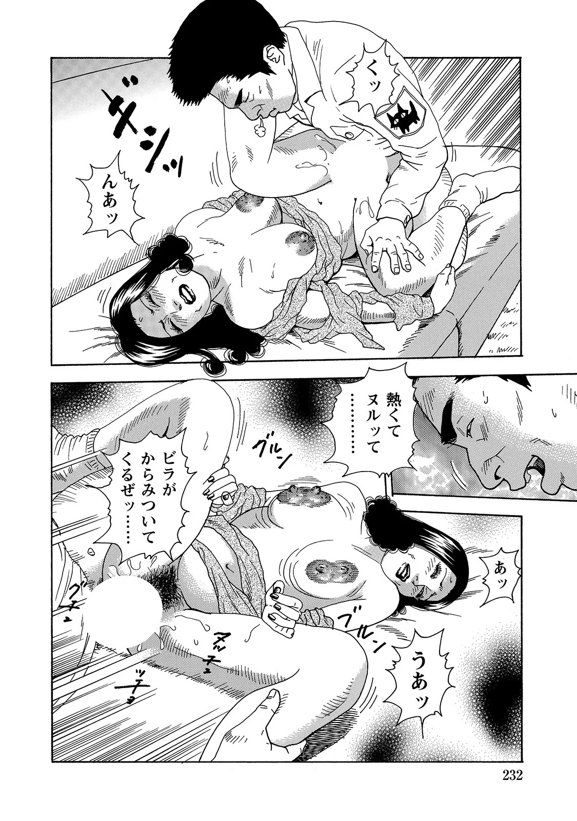 Page 232