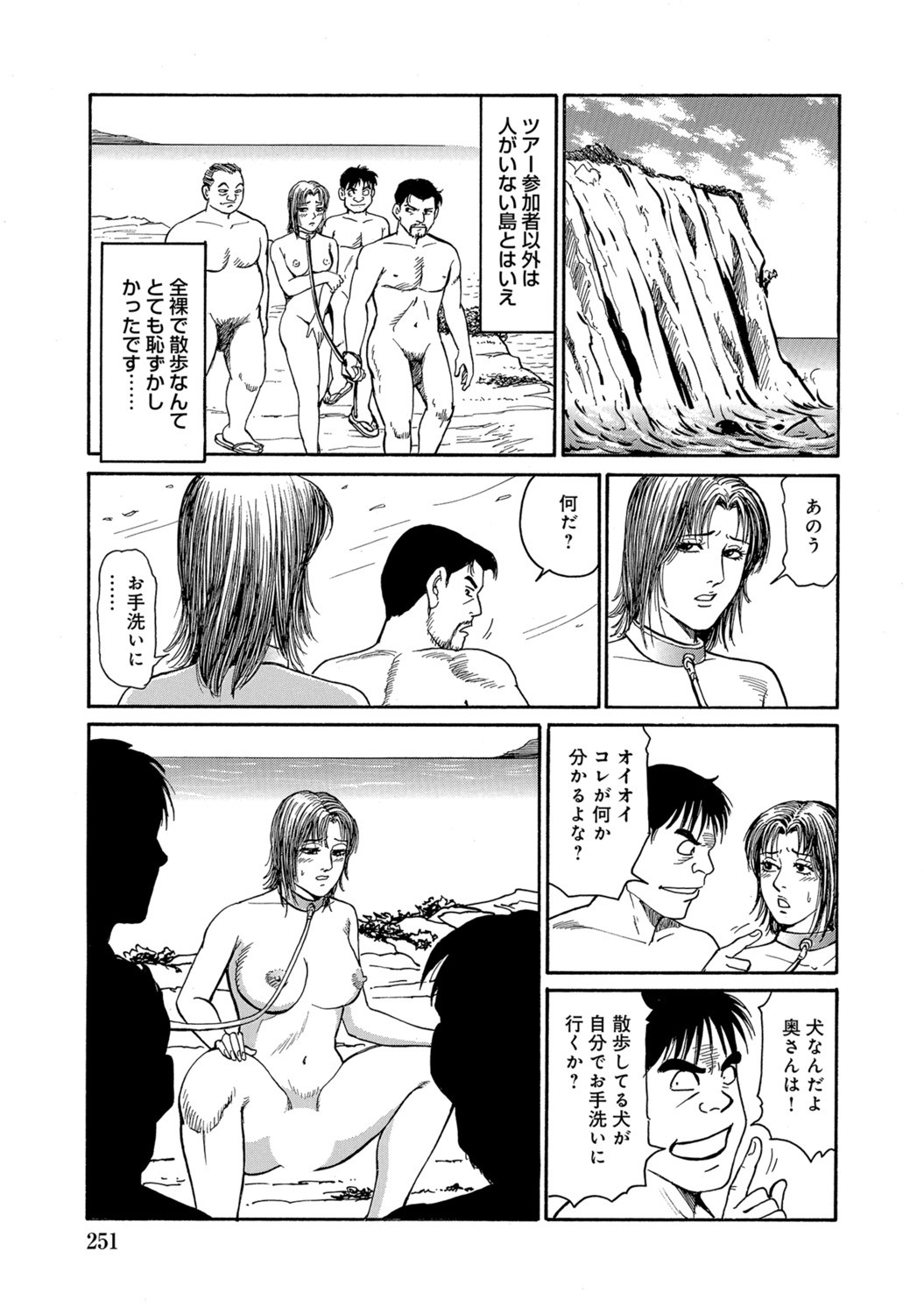 Page 251