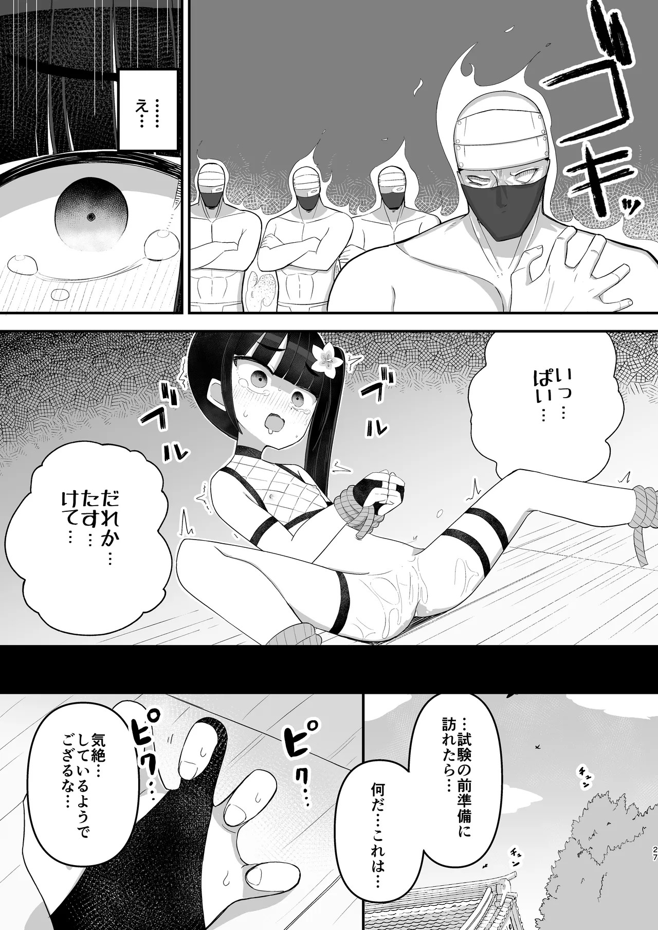 Page 27