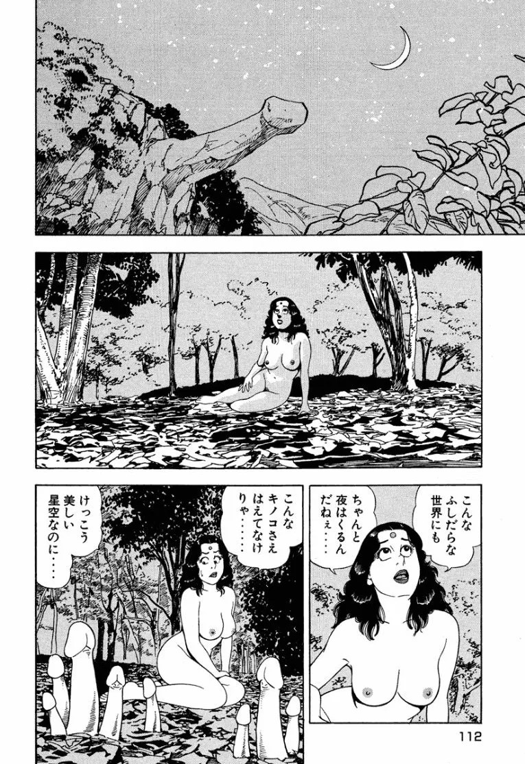 Page 111