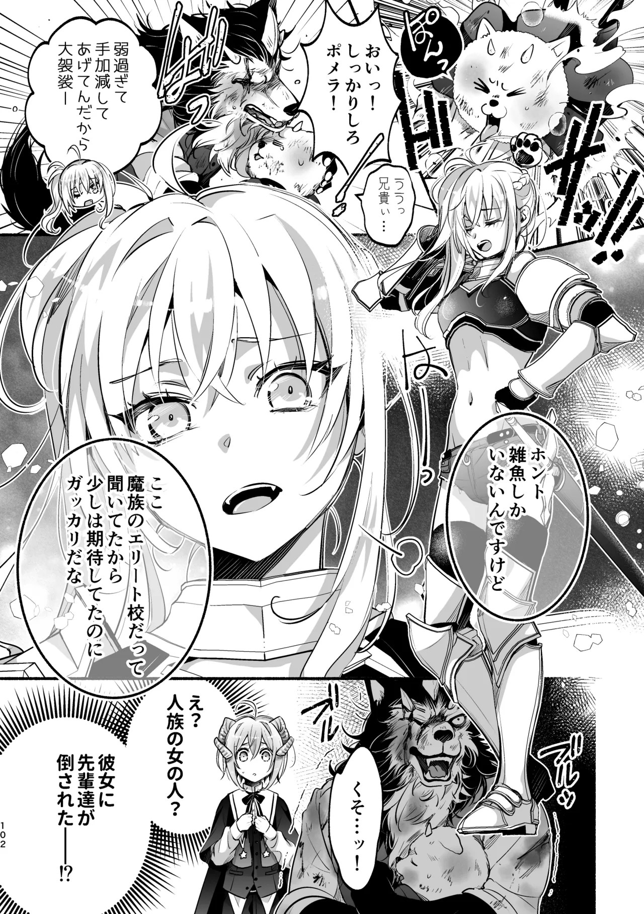 Page 102