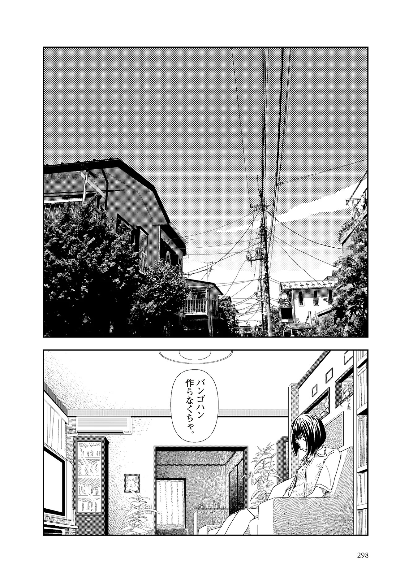 Page 300