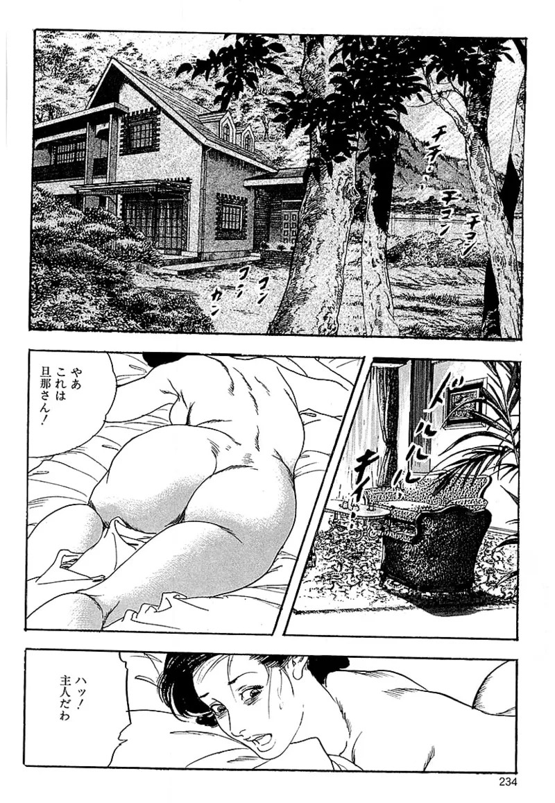 Page 232