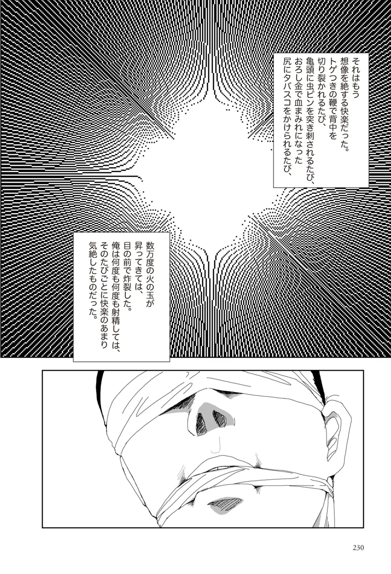 Page 232
