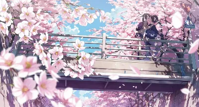カントク2018.05-2026.03