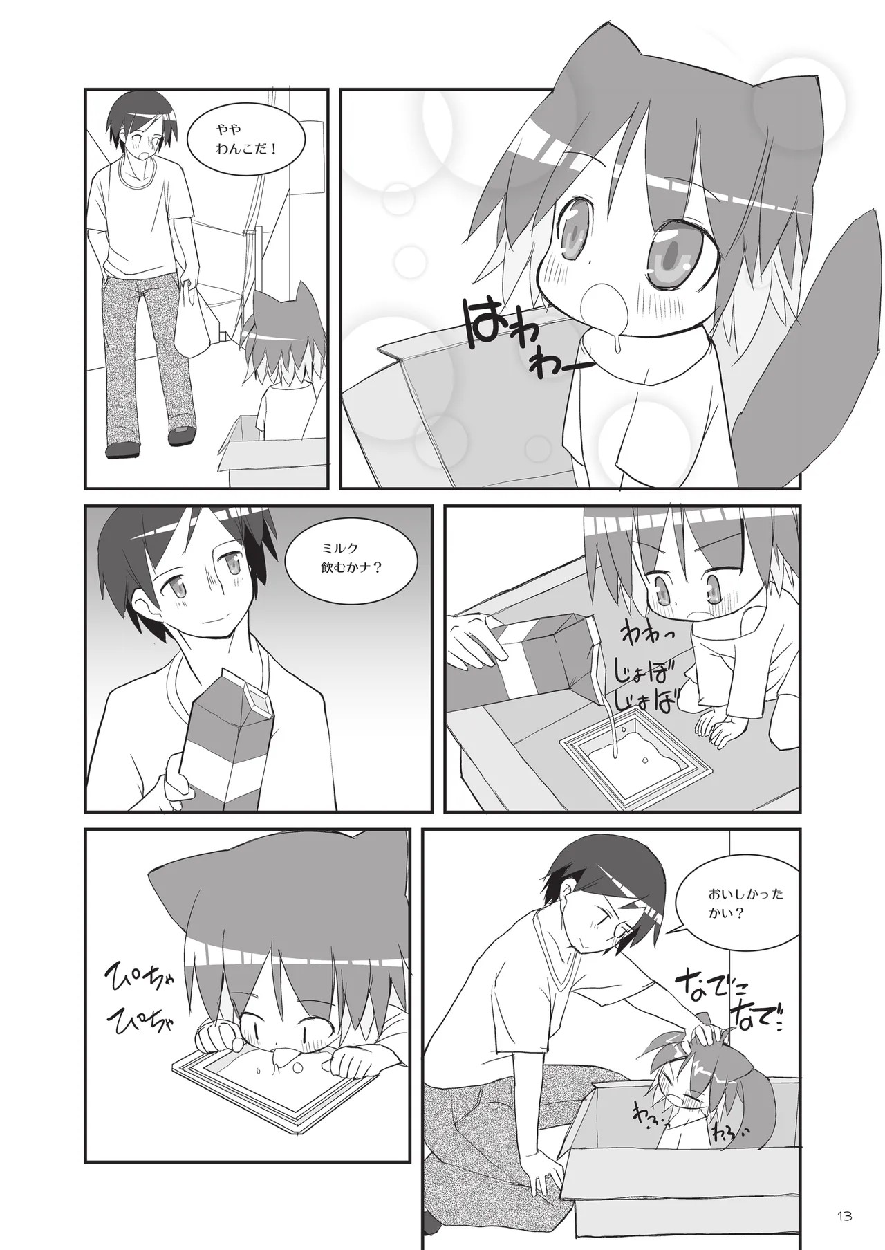 Page 13