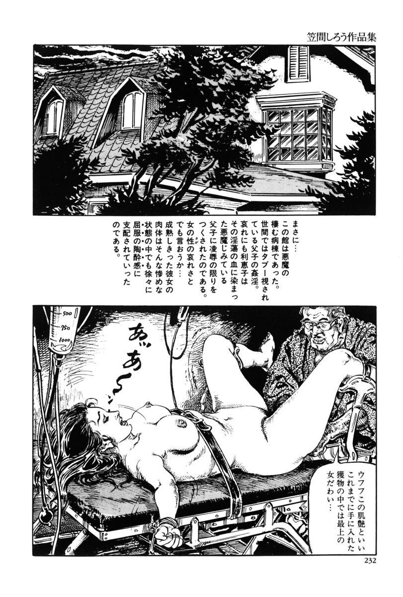 Page 229