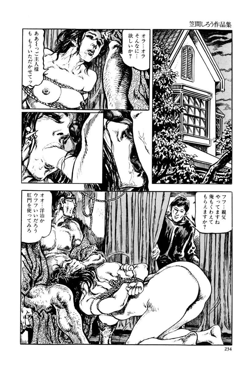 Page 231