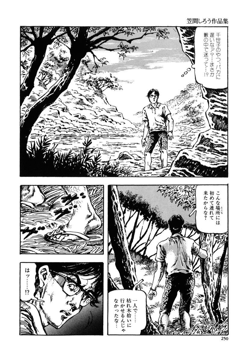 Page 247
