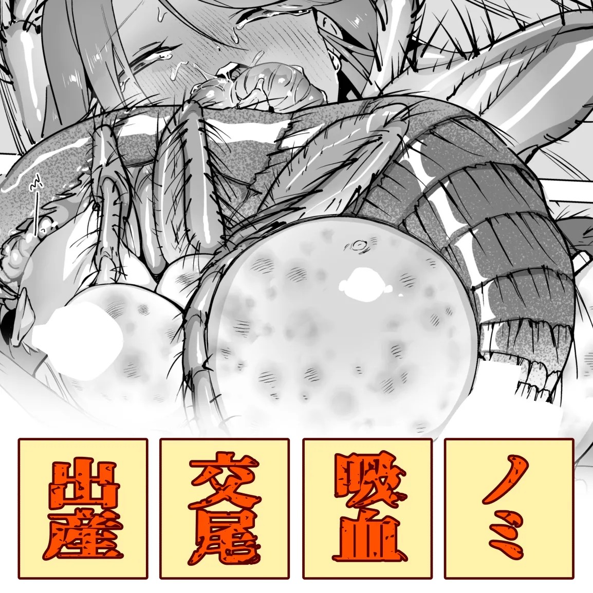 ノミとお昼寝少女