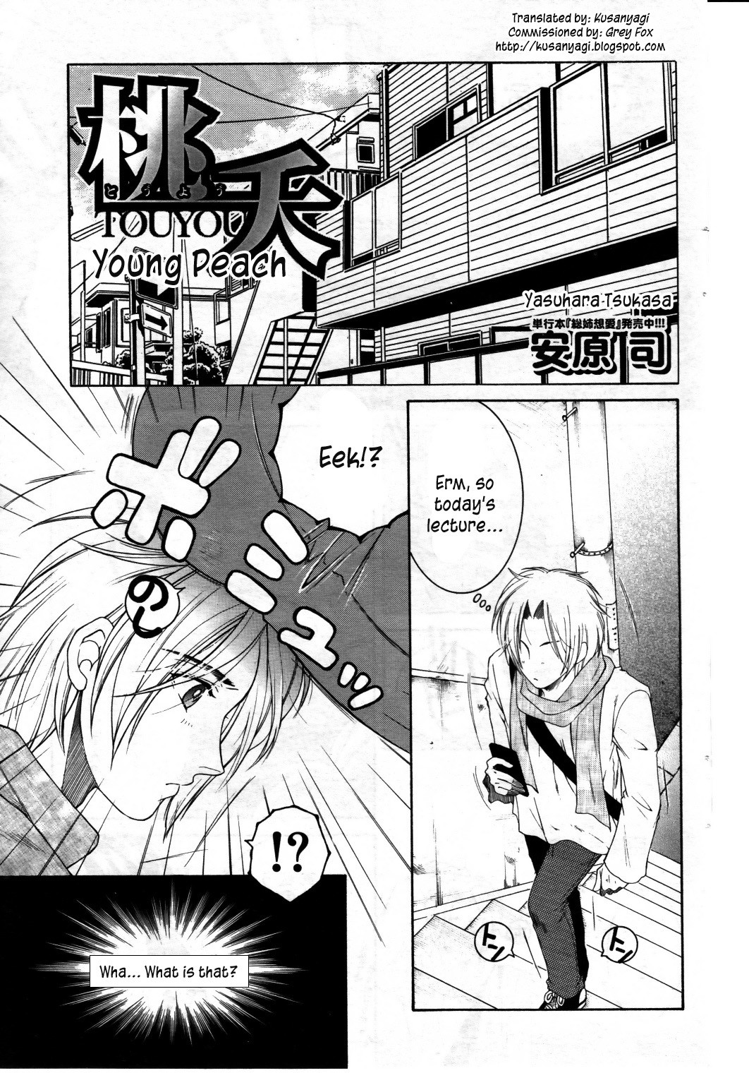 Touyou | Young Peach (COMIC MILF 2011-08 Vol. 2)