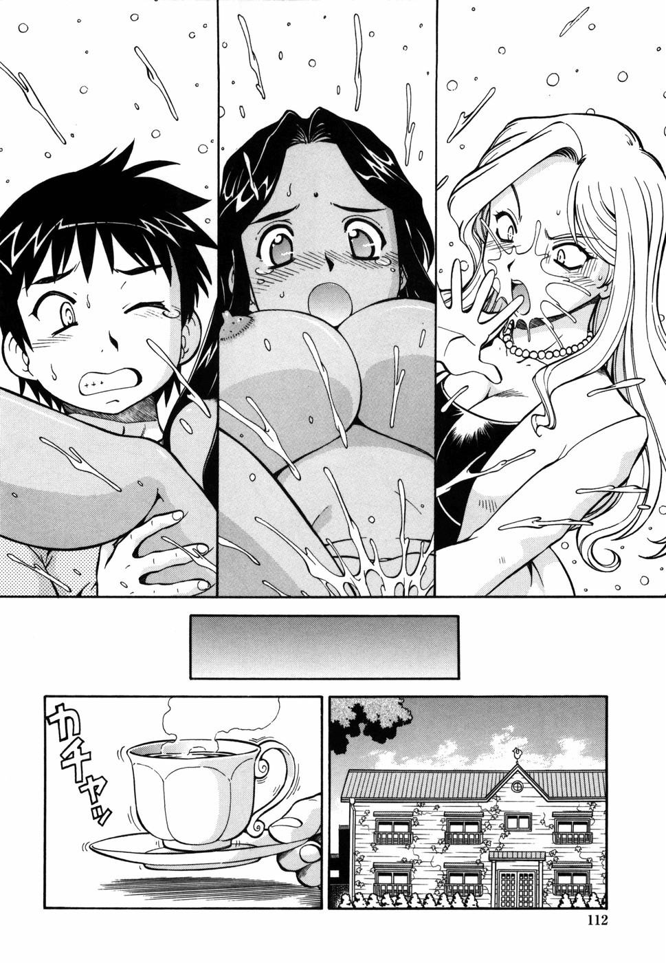 Page 113
