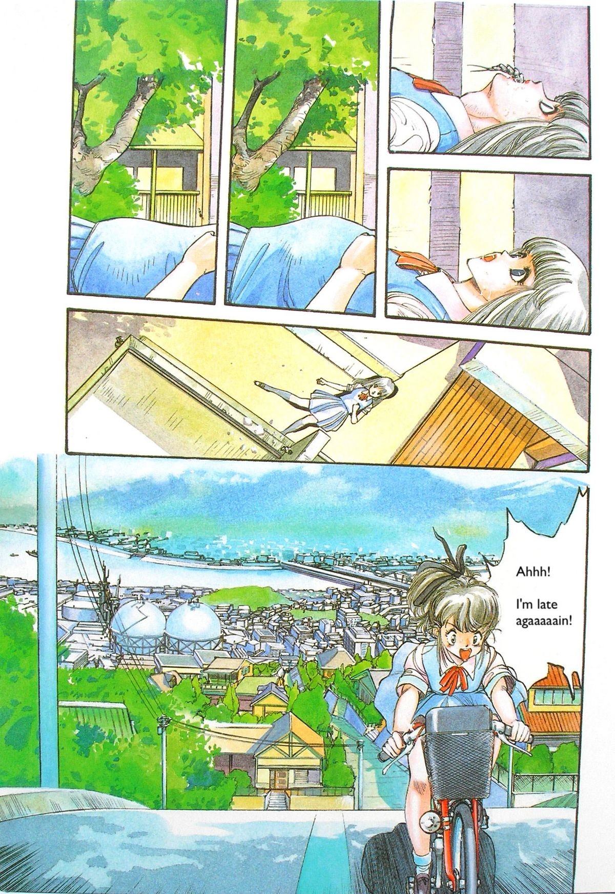 Page 3