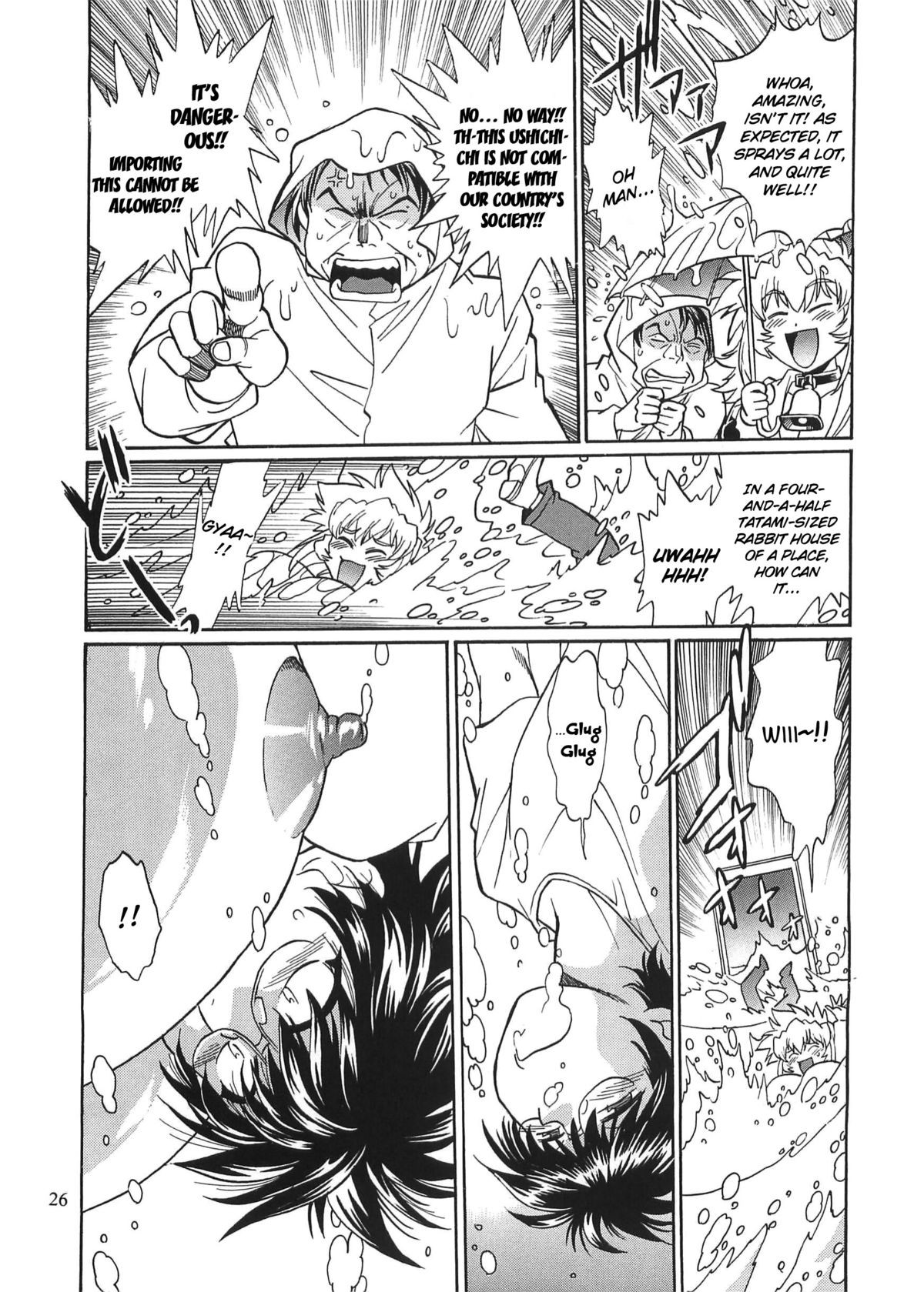 Page 25