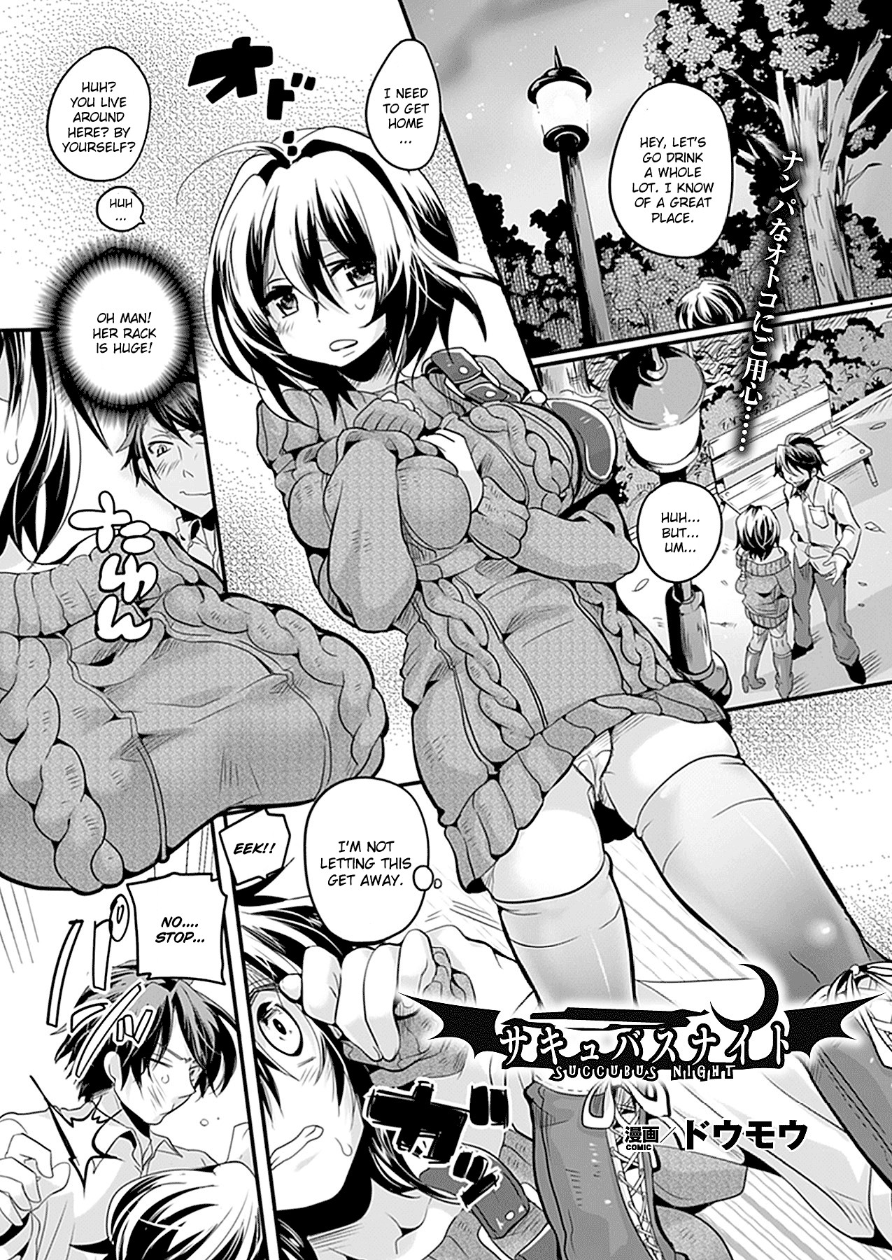 Succubus Night (COMIC Unreal 2012-02 Vol. 35)