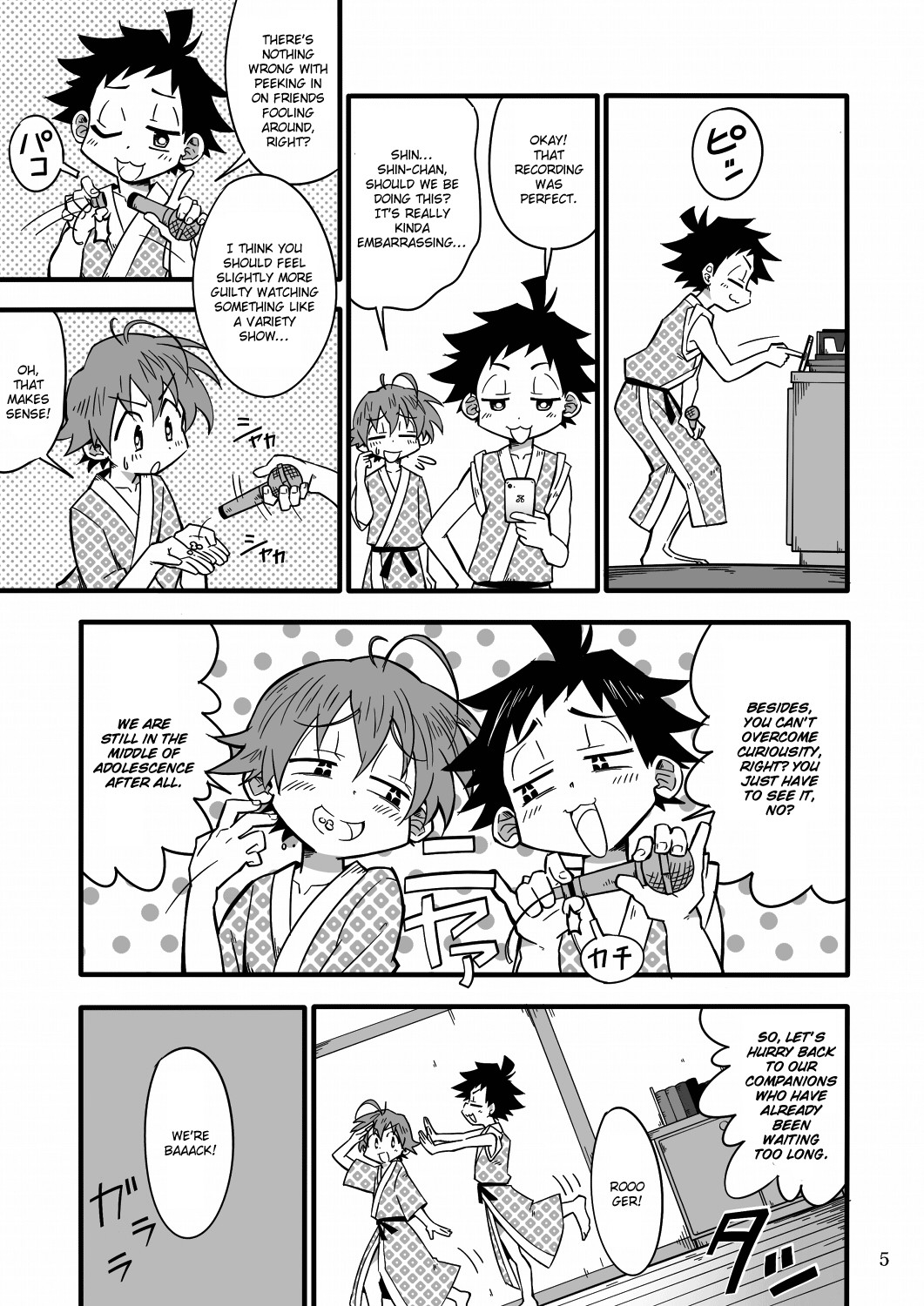 Page 5