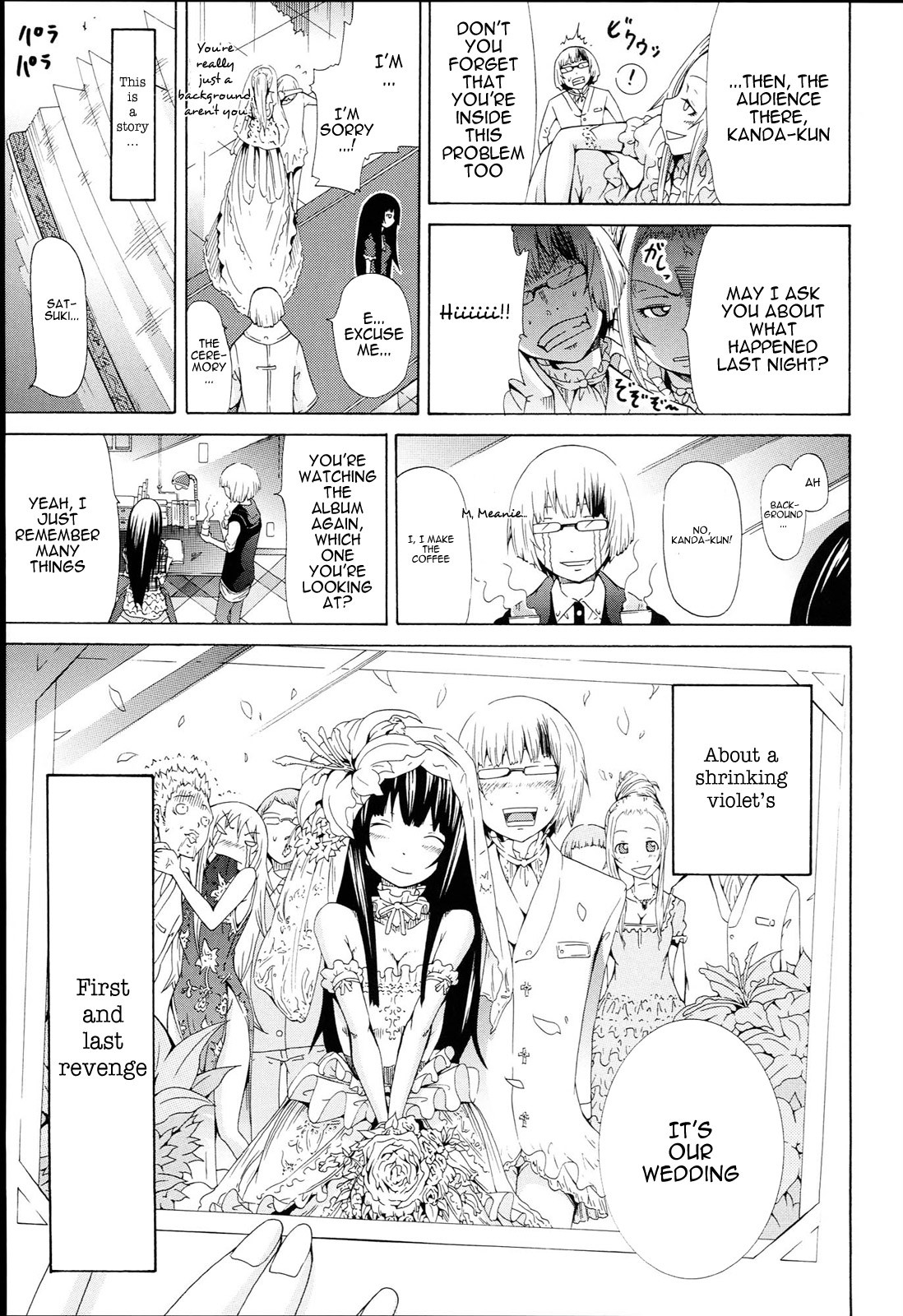 Page 233