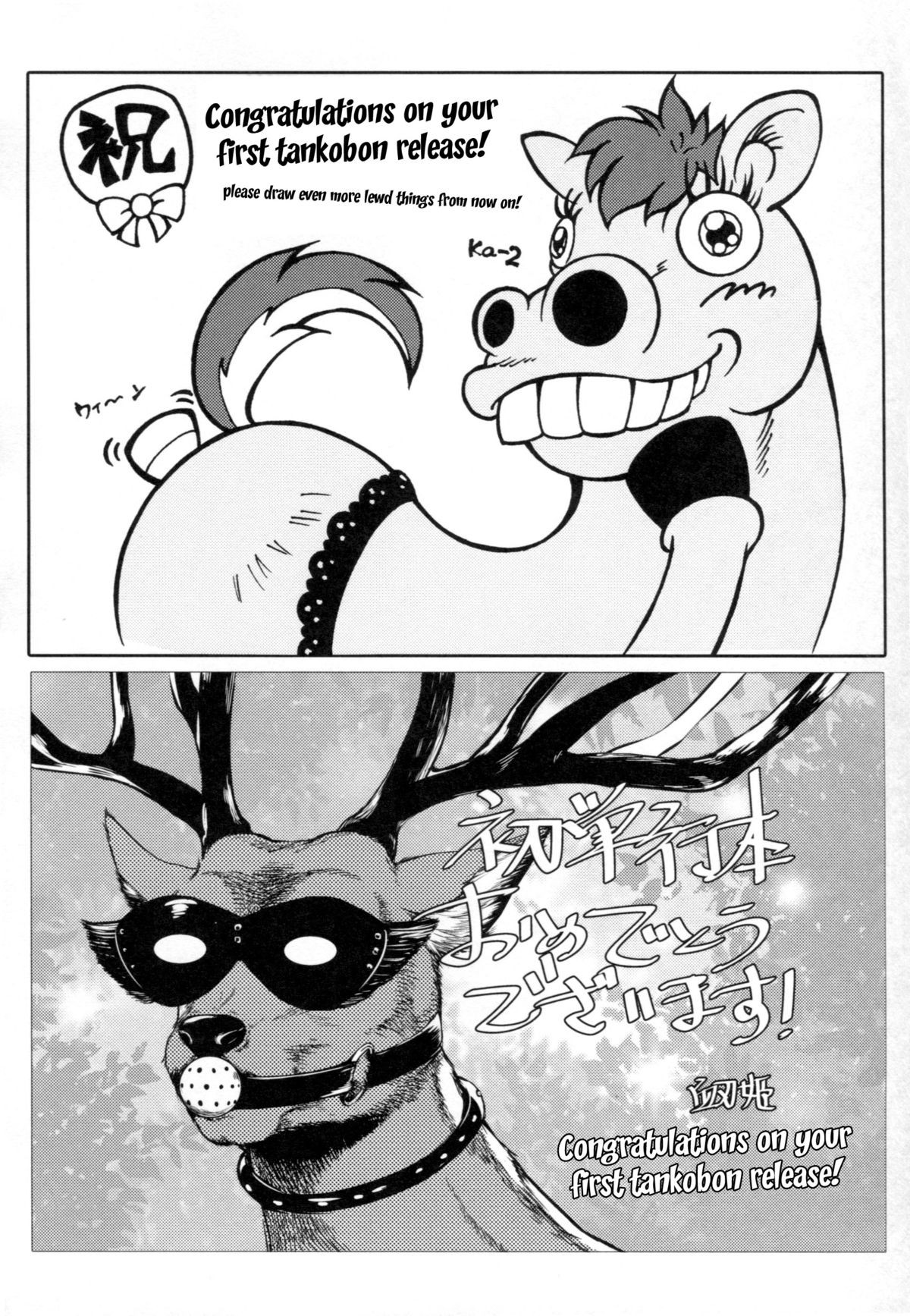 Page 213